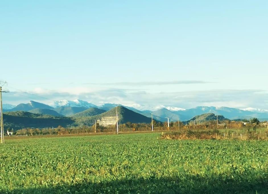 Pointis-de-Riviere T3 Au Pied Des Pyrenees 아파트 외부 사진